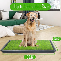 SyFatWeen dog loo system absorbent pad demonstrates reusable solution for quick urine absorption