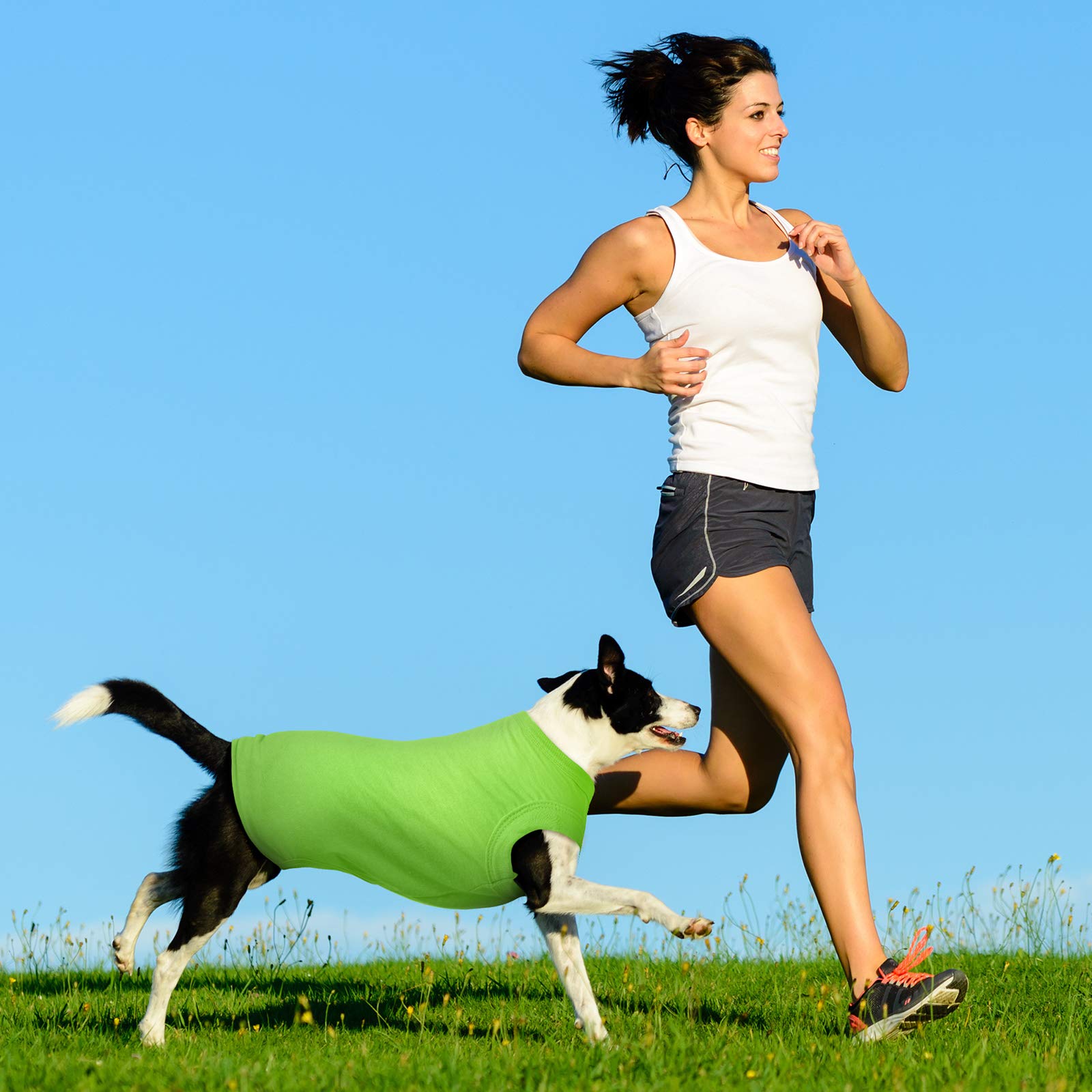 Syhood 8 Pcs Dog Shirts rosy solid for playful days and moisture-wicking comfort.