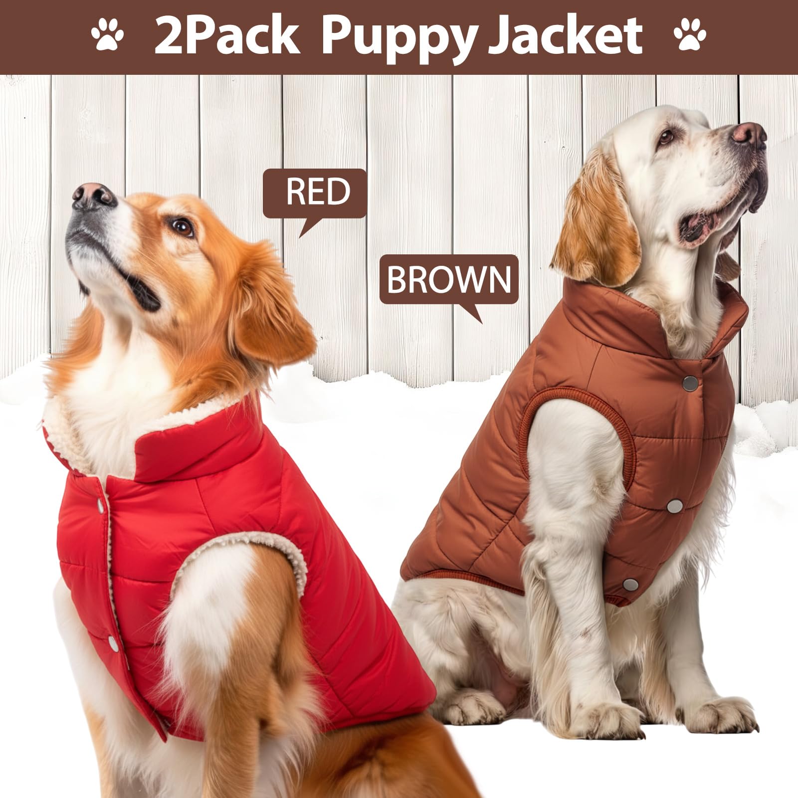 Syhood dog jacket two-pieces back view showing full coverage against wind