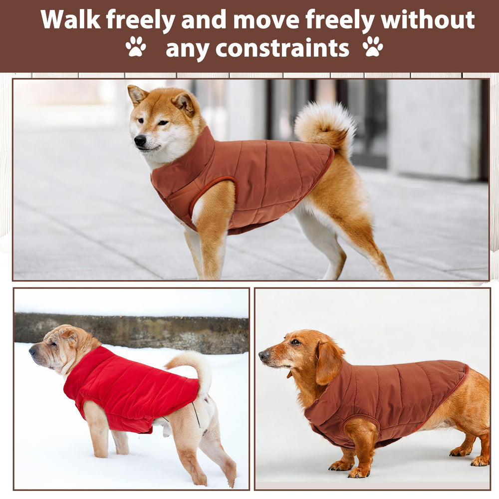 Syhood windproof warmth illustration demonstrates winter-ready protection for pets