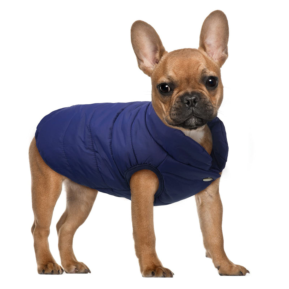 Syhood paws-hole detail demonstrates front-leg access while keeping my dog warm