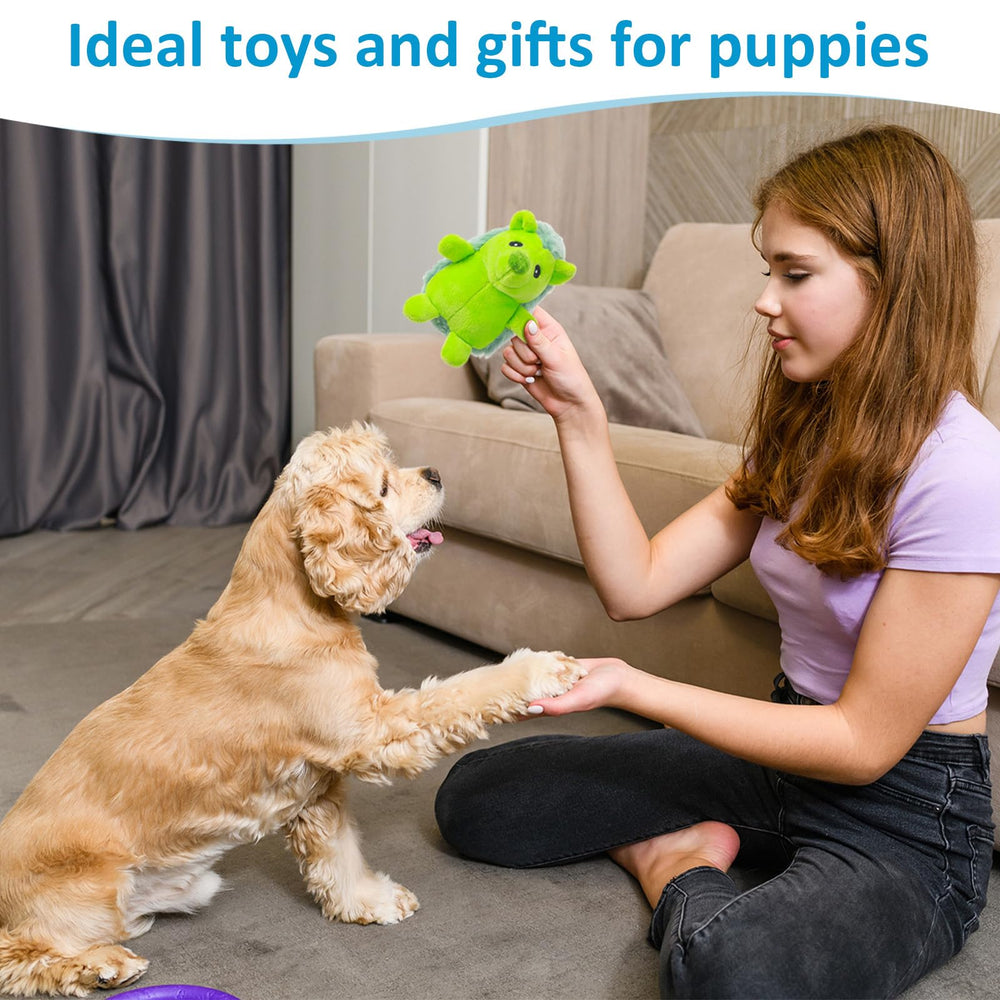 Syhood interactive play hedgehog – encourages training and bonding during play.