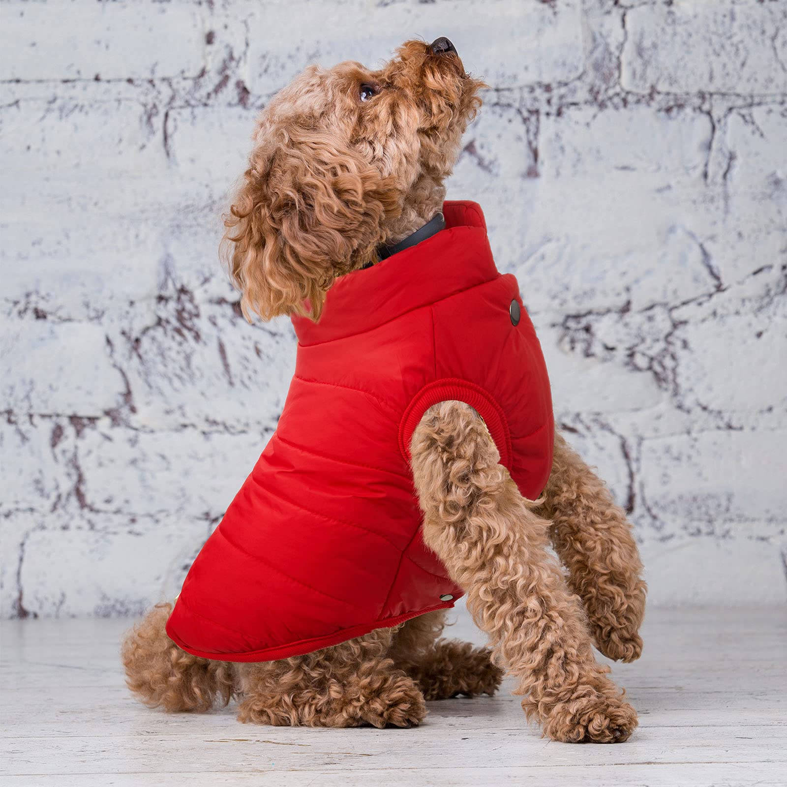 Syhood paw-hole design on jacket demonstrates comfortable leg movement during walks.