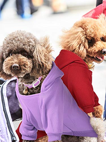 Syhood winter dog clothes with hat purple soft fleece warmth for outdoor outings.