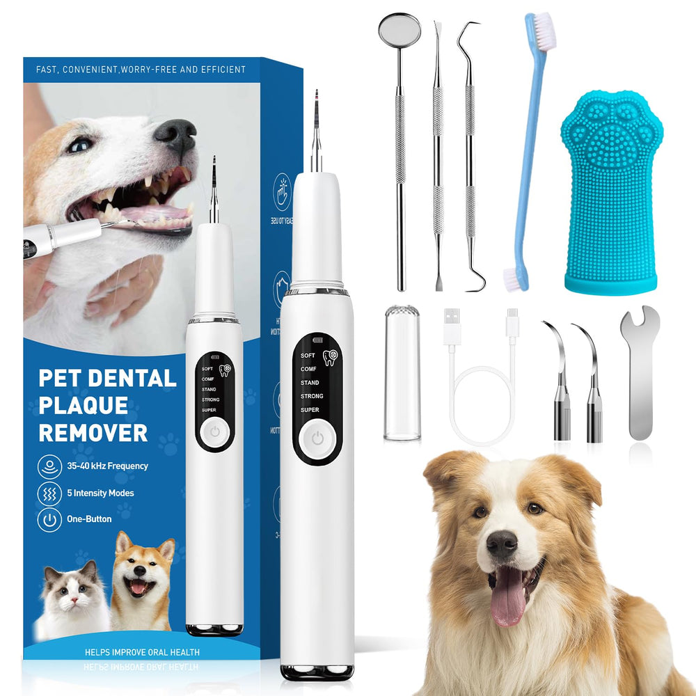 SylvanSparkKitchen dog plaque remover with LED light enables at-home dental checks