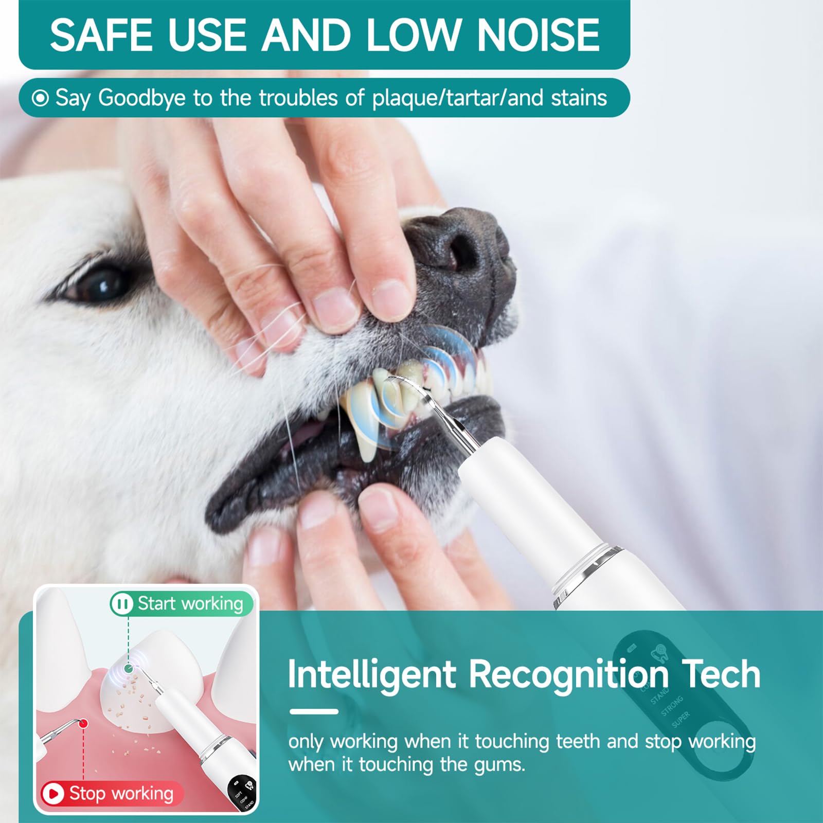 SylvanSparkKitchen ultrasonic dental tool gently disrupts tartar buildup for pets