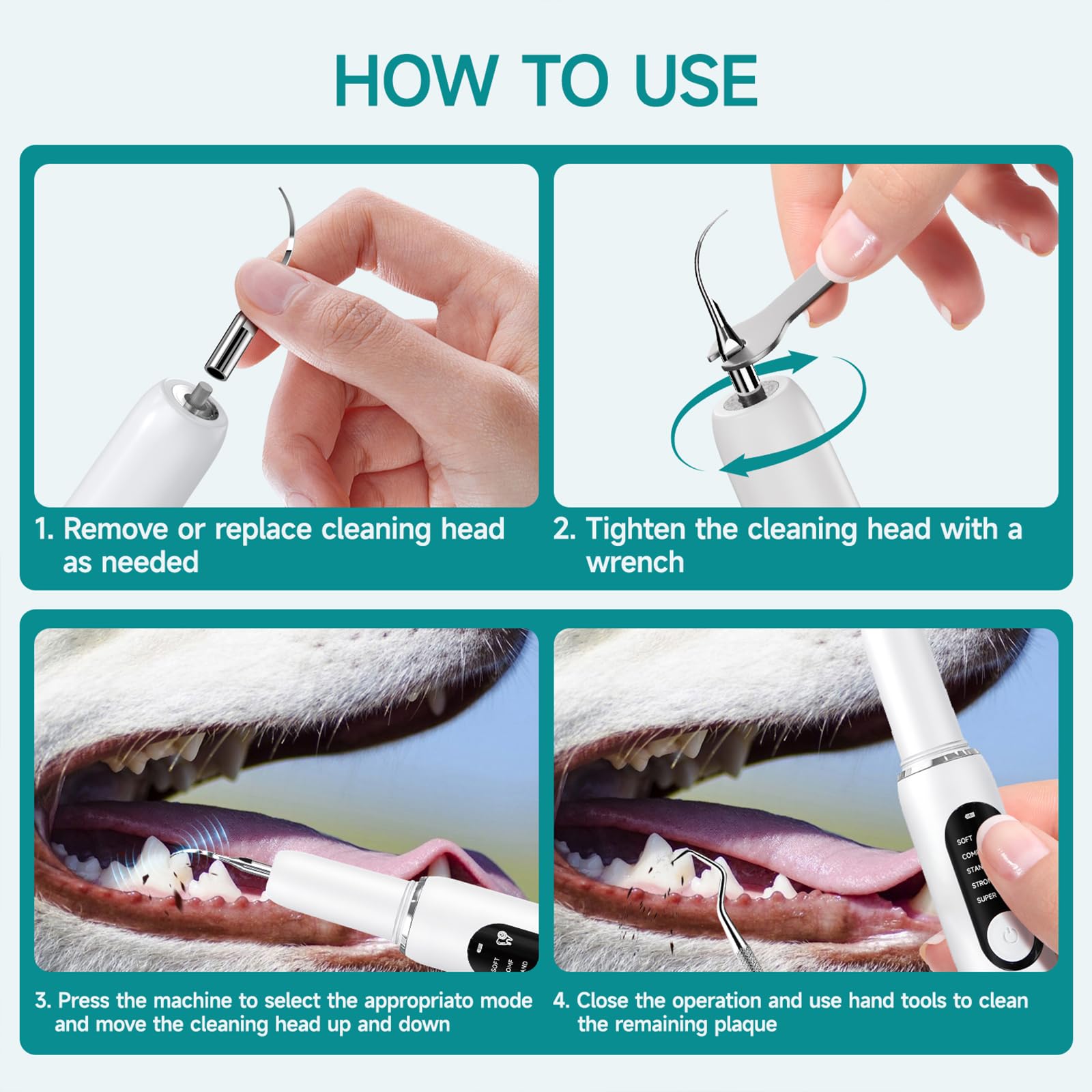 SylvanSparkKitchen complete dog dental kit communicates a full care solution.