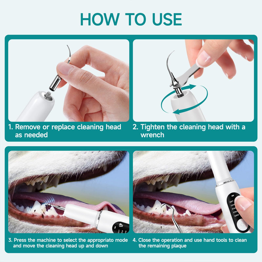 SylvanSparkKitchen complete dog dental kit communicates a full care solution.