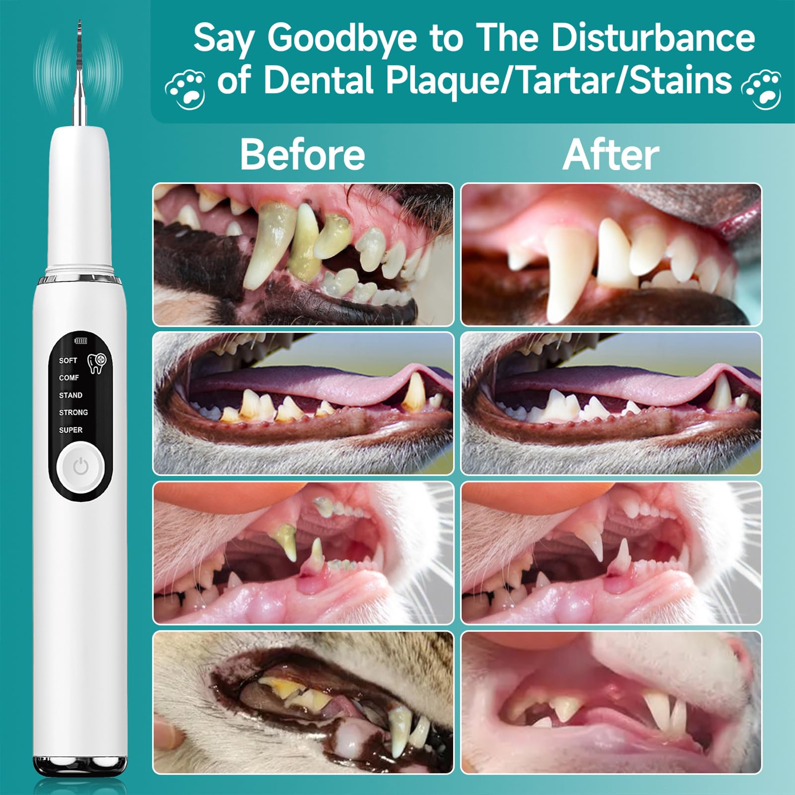 SylvanSparkKitchen led-light indicator signals safe operation during brushing sessions.