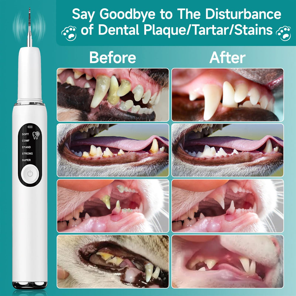 SylvanSparkKitchen led-light indicator signals safe operation during brushing sessions.