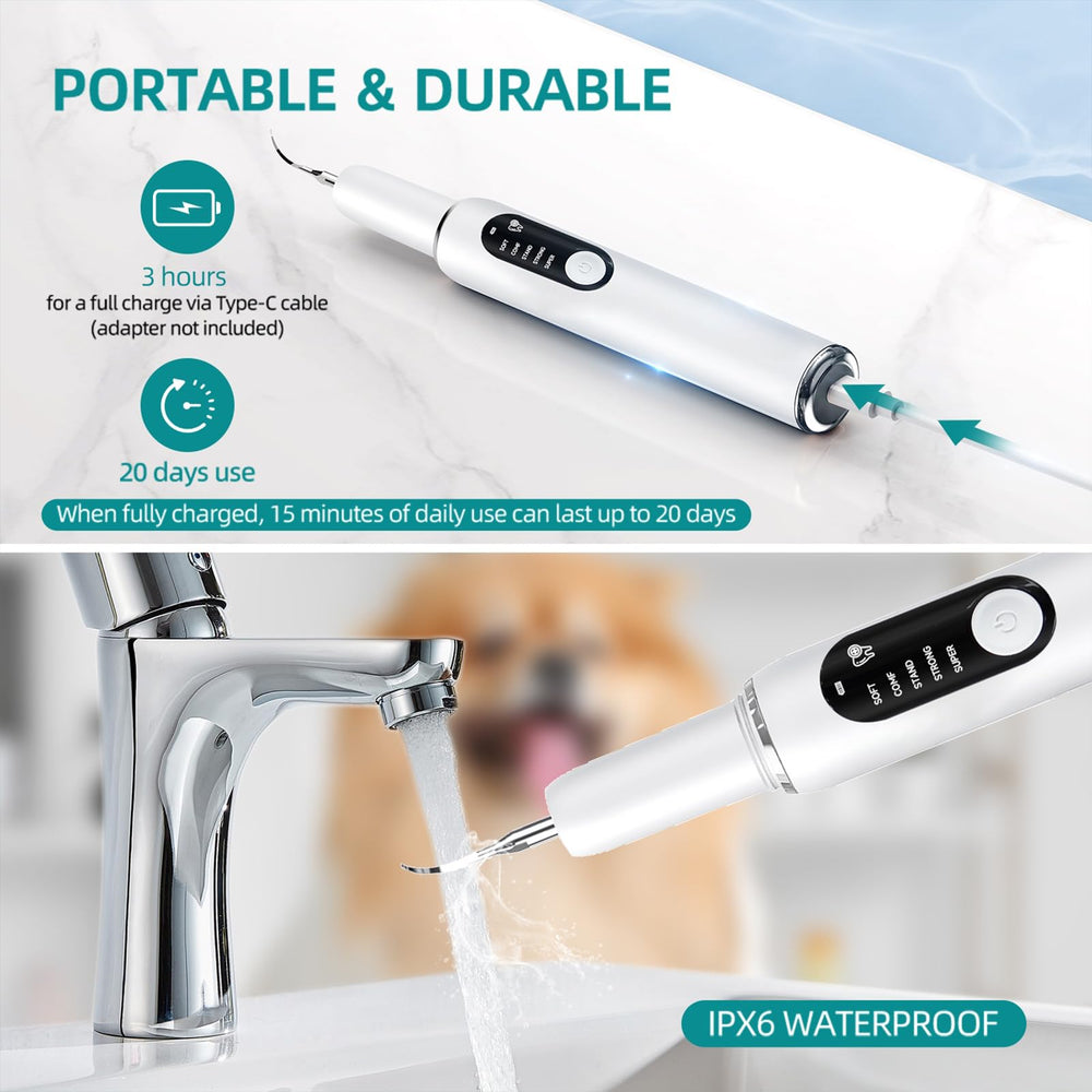 SylvanSparkKitchen teeth brushing kit for dogs reinforces home dental routines.