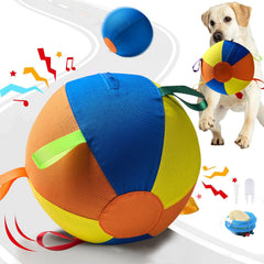 Symhobby active training ball used in dog play and training