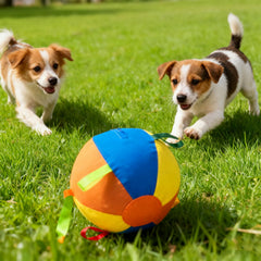 Symhobby high-visibility colors on grass for outdoor visibility