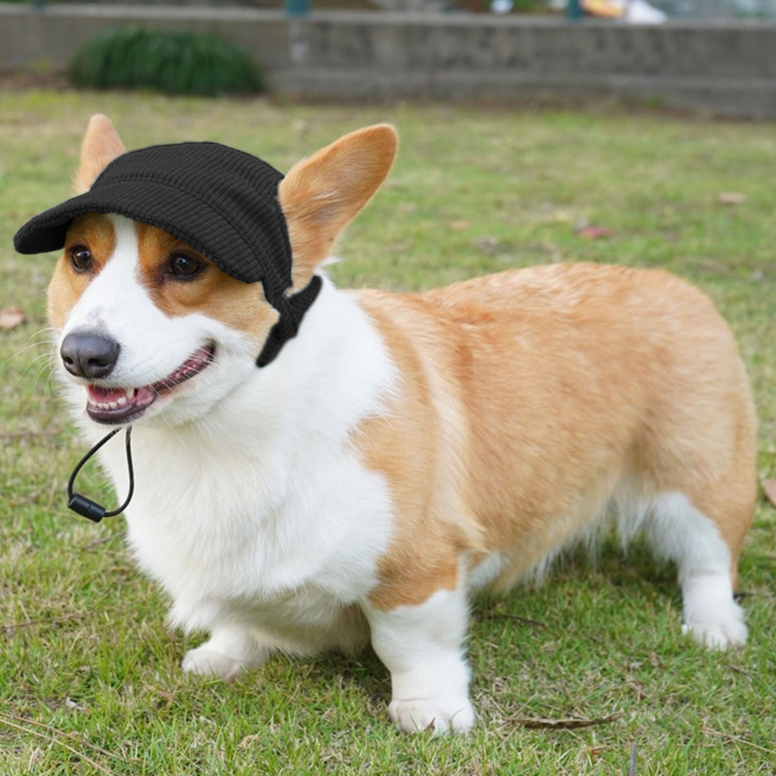 Symphonyw corduroy material soft breathable for daily pet wear