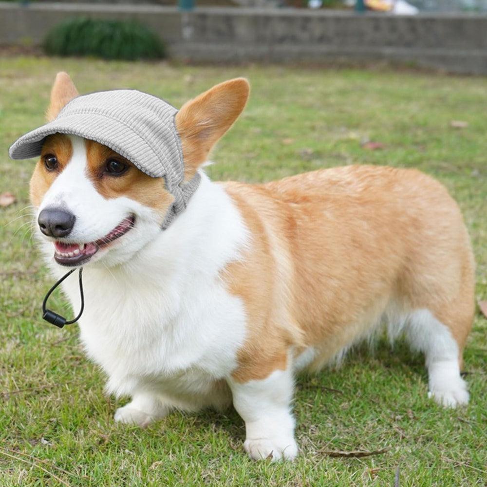Symphonyw dog baseball cap beach use shows durable daily wear for outdoors.