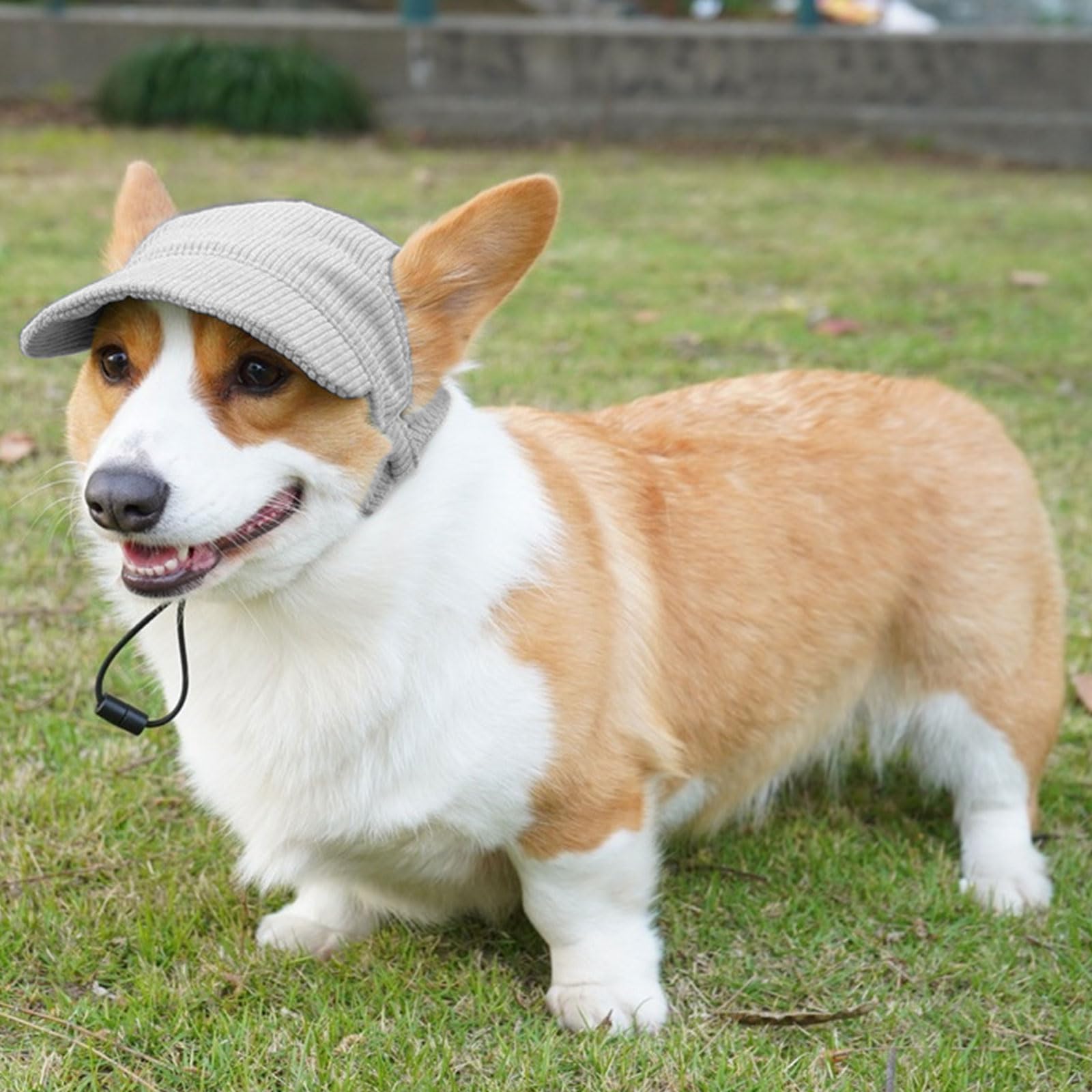 Symphonyw dog-baseball-cap-corduroy grey demonstrates durable, soft sun protection for daily adventures.