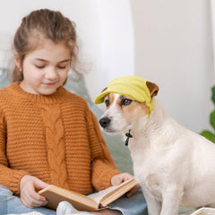 Symphonyw corduroy yellow hat feels soft, breathable, and durable.