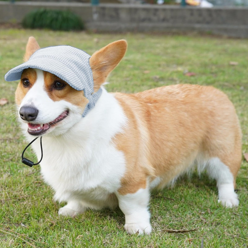 Symphonyw dog hat blue outdoor leisure scene with ear holes