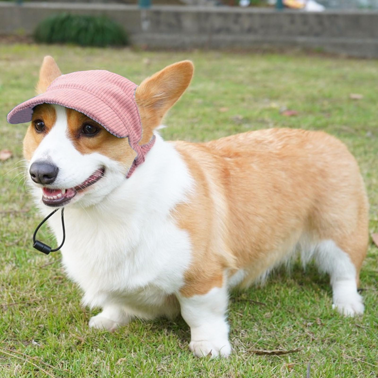 Symphonyw outdoor dog cap shown at picnic and hiking outings