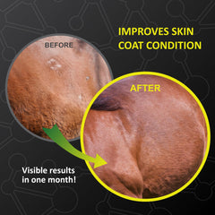 Horse with grain and GastroMend XC mixed in for digestion support.