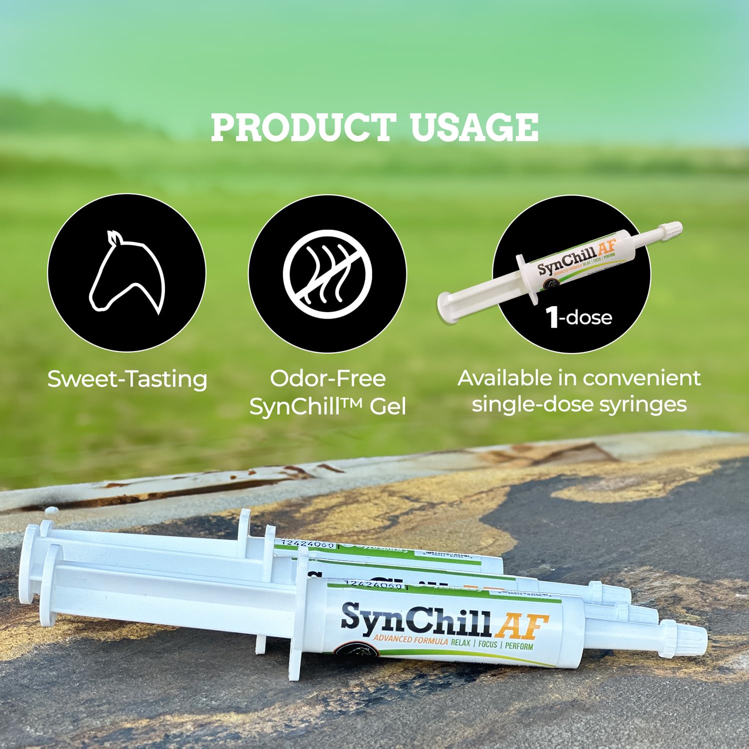 SynNutra Equine SynChill AF daily-use imagery suggests steady focus across training days.