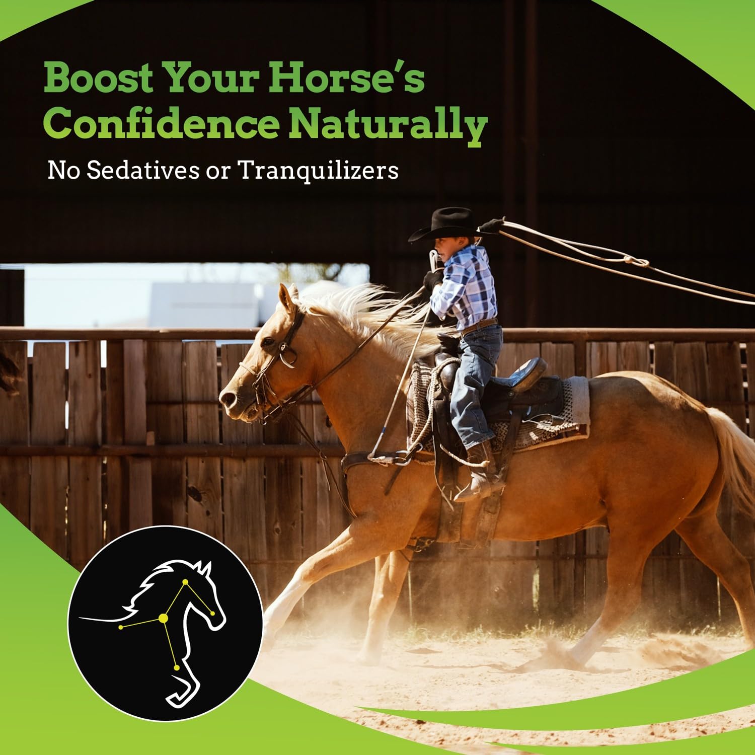 SynNutra Equine SynChill AF horse-acceptance scene shows a calm demeanor during handling.