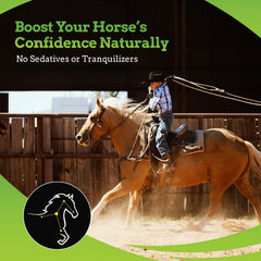SynNutra Equine SynChill AF horse-acceptance scene shows a calm demeanor during handling.