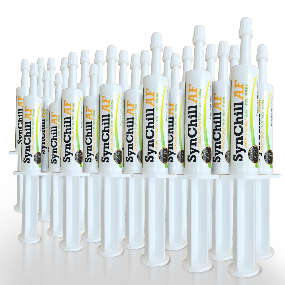 SynNutra Equine SynChill AF gel-tube ready for quick composure during rides.