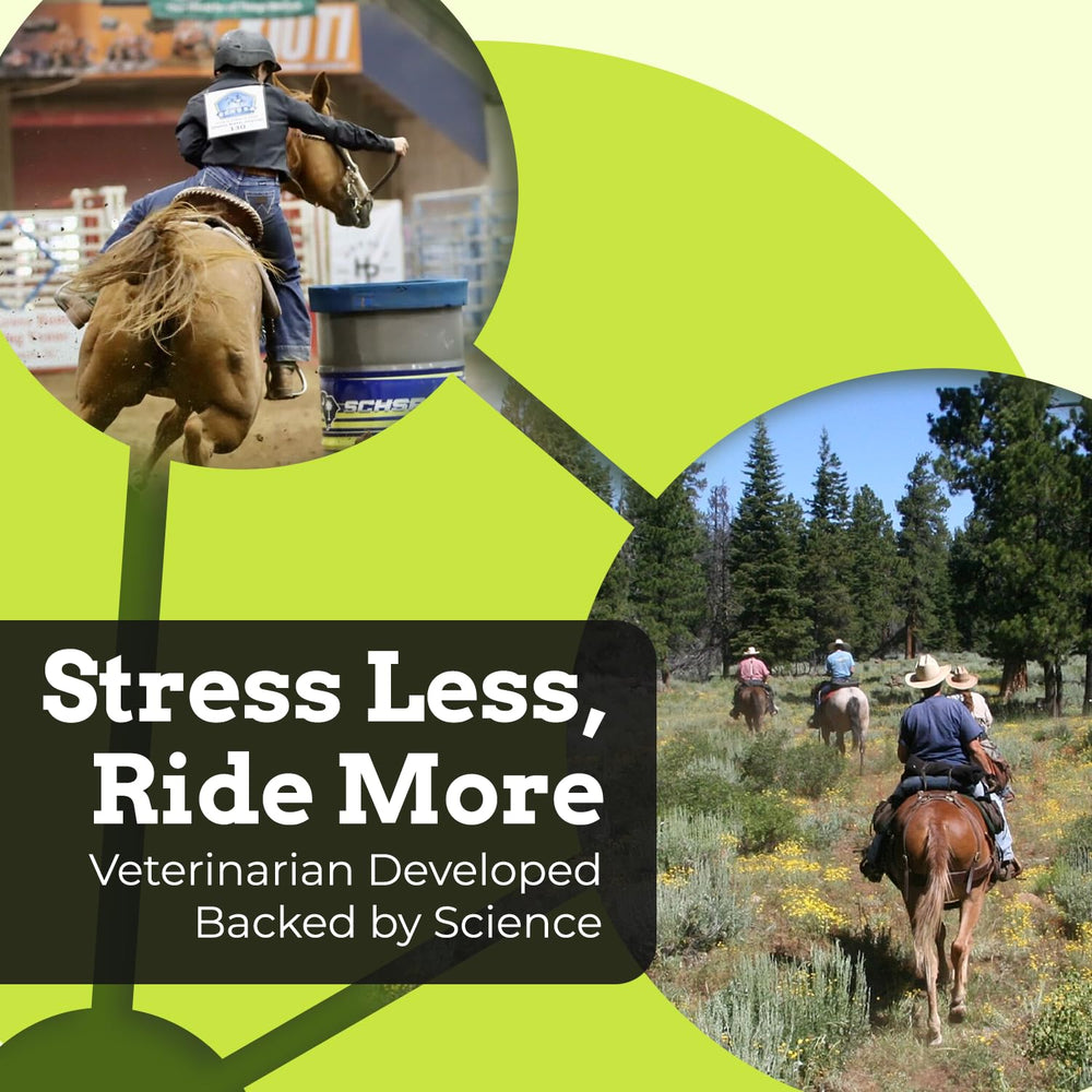 SynChill USA-made label signals quality for equestrian professionals
