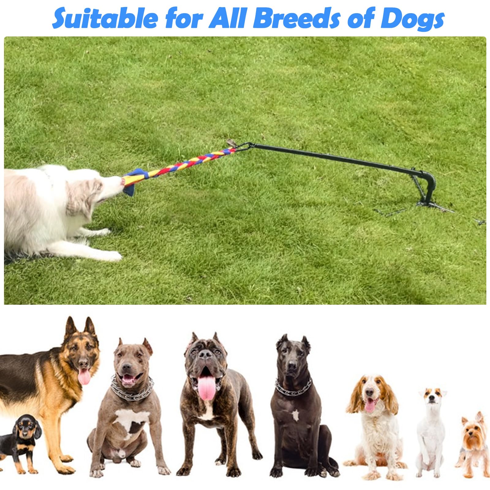 SYOOOY dog toy in yard offering hours of solo or tug-and-chase play.