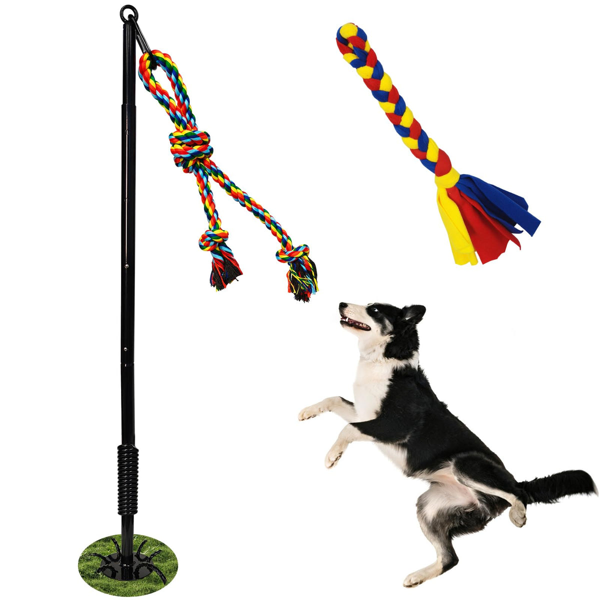 SYOOY tether-pole-installation enables quick outdoor dog exercise setup