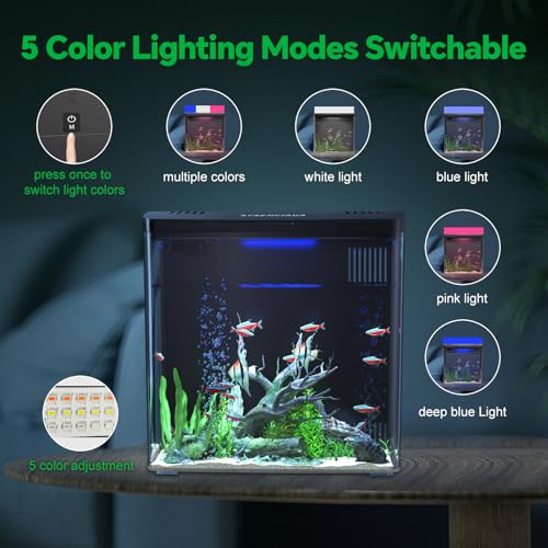 SYSENCIAGA desk-aquarium-setup fits neatly on a work surface, offering a calming focal point.