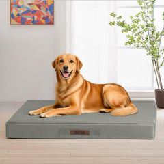 Sytopia 42x29 XL dog bed waterproof cover keeps foam clean for indoor and outdoor use