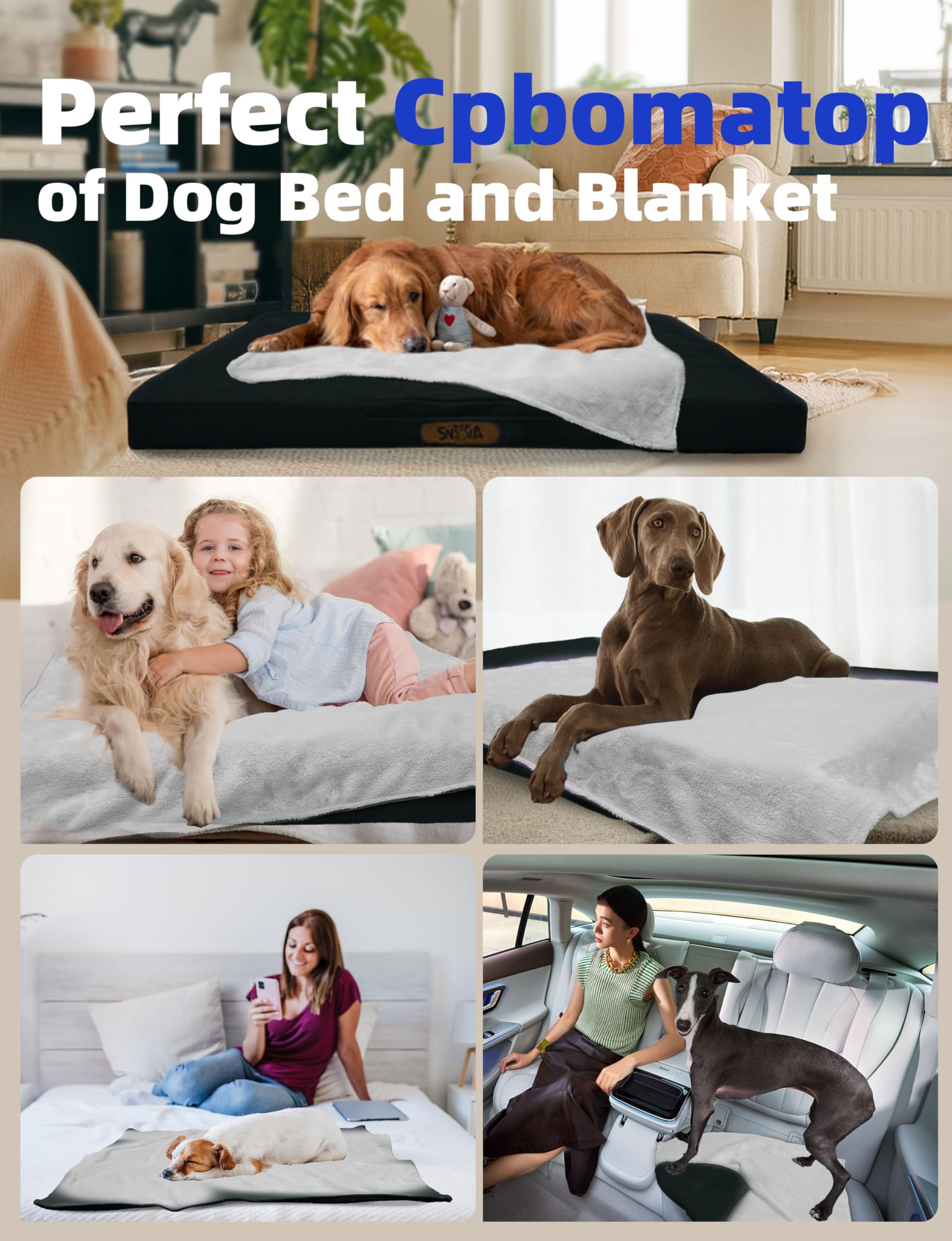Sytopia 42XL happiness-guarantee seal demonstrates trusted support and quality