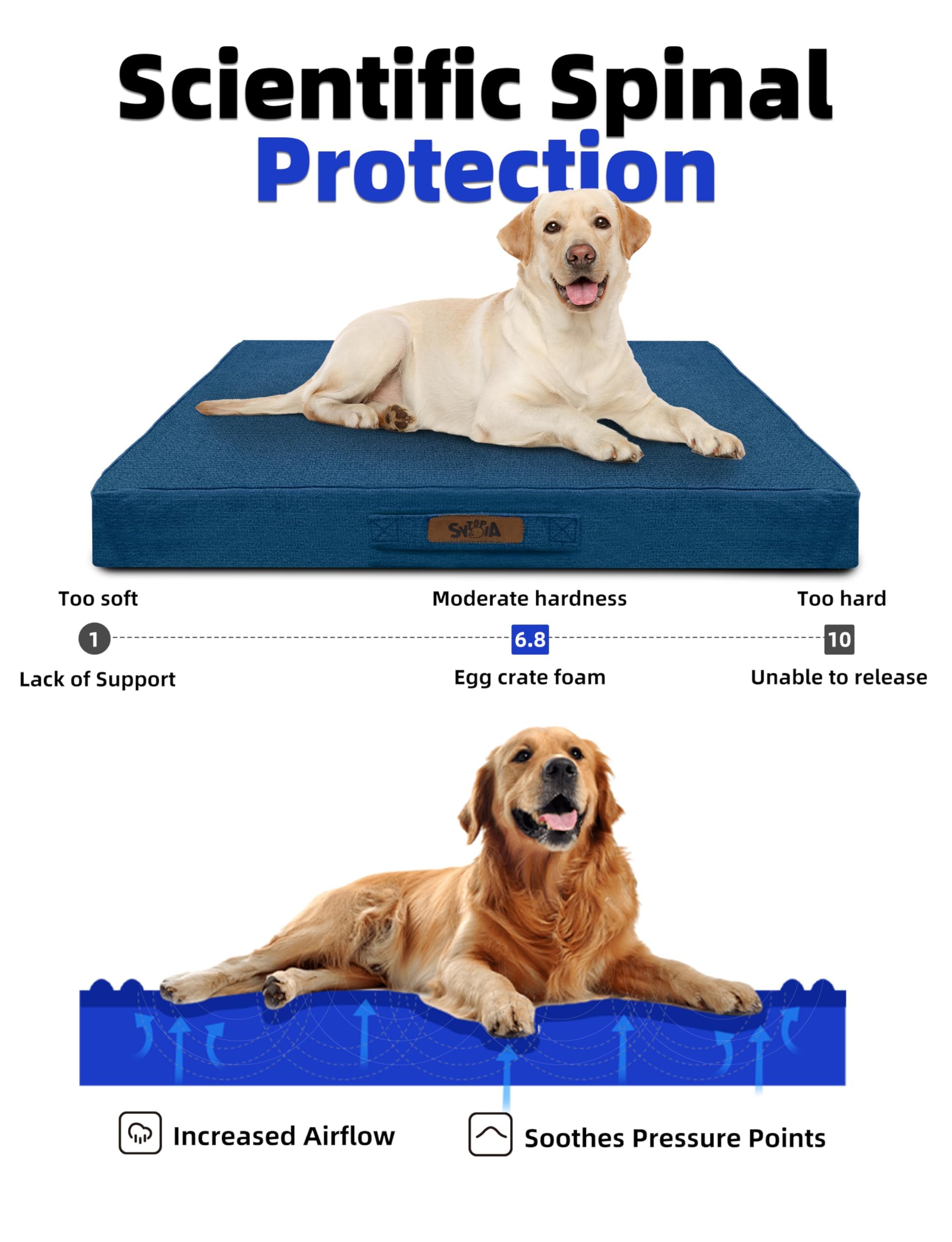 Sytopia 50-inch orthopedic-foam close-up highlights pressure-relieving support