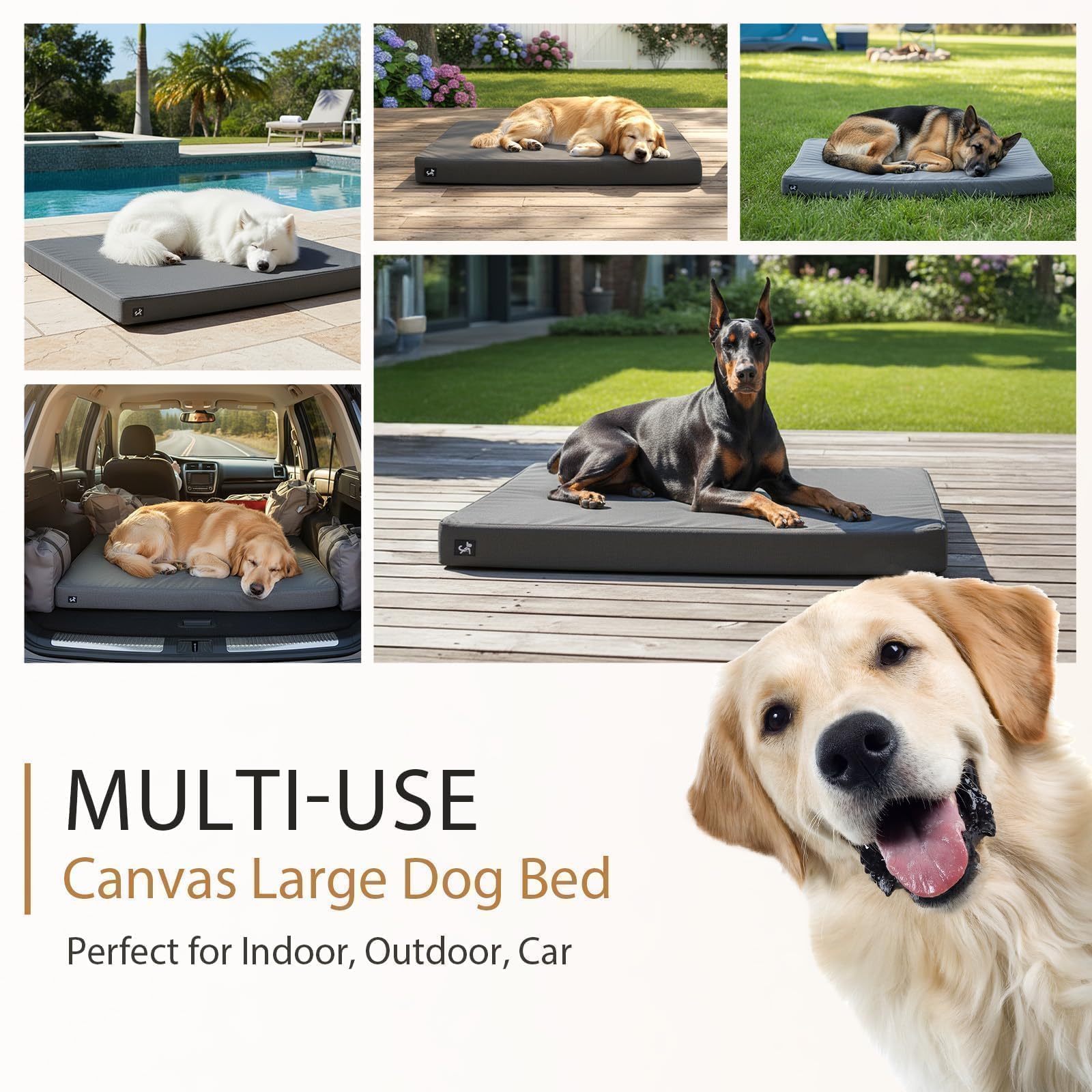 Sytopia dark gray dog bed blends with home decor and hides wear.