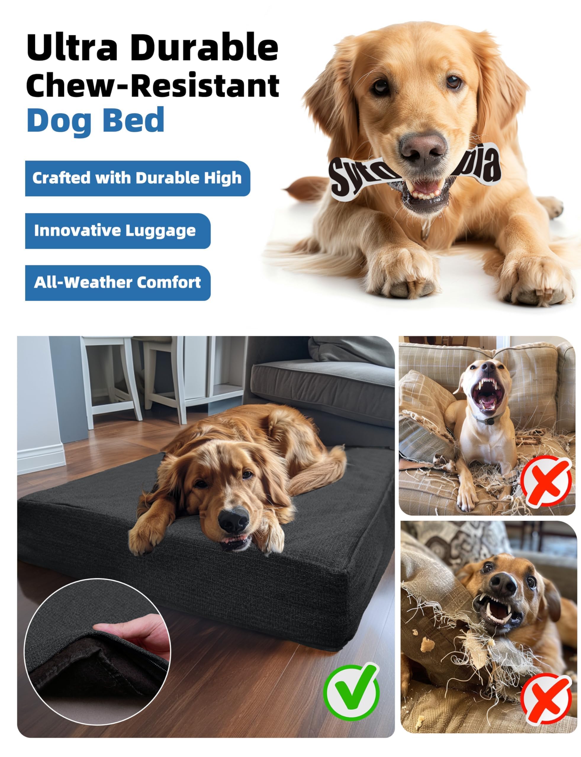 Sytopia egg-crate orthopedic foam visible on large breeds