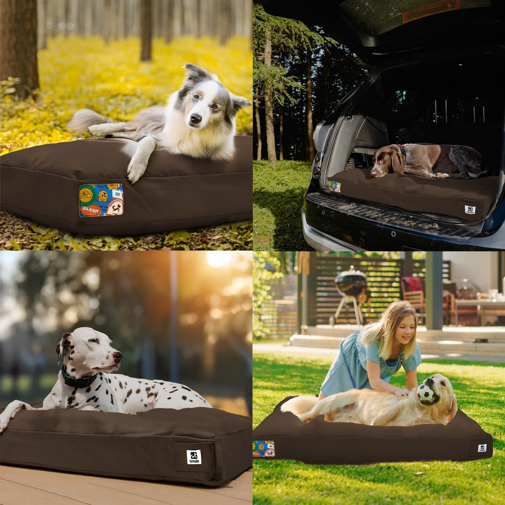 Sytopia removable cover with hidden zipper simplifies cleanup and refresh.