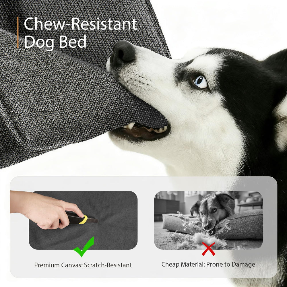 Sytopia senior-pet friendly design features lowered-entry for easy access.