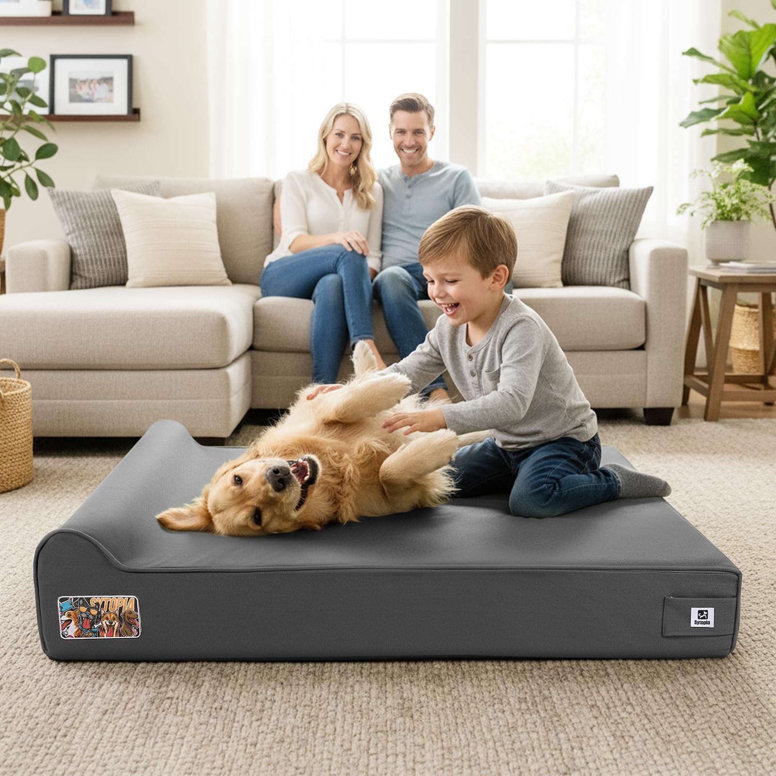 Sytopia XXL 50 light-grey dog bed blends with indoor living spaces.