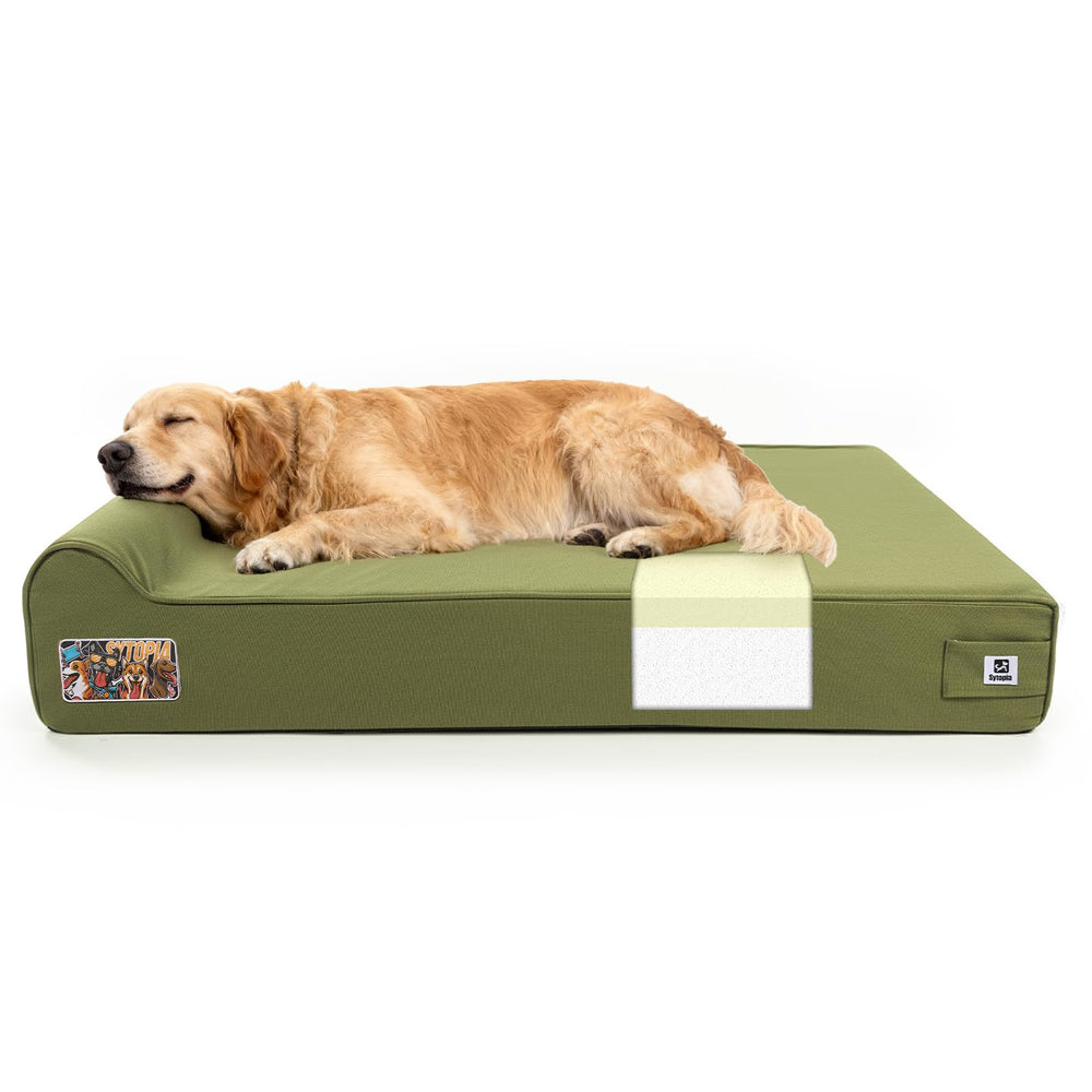 Sytopia XXL 50-inch orthopedic dog bed outdoor lounge area for patio use