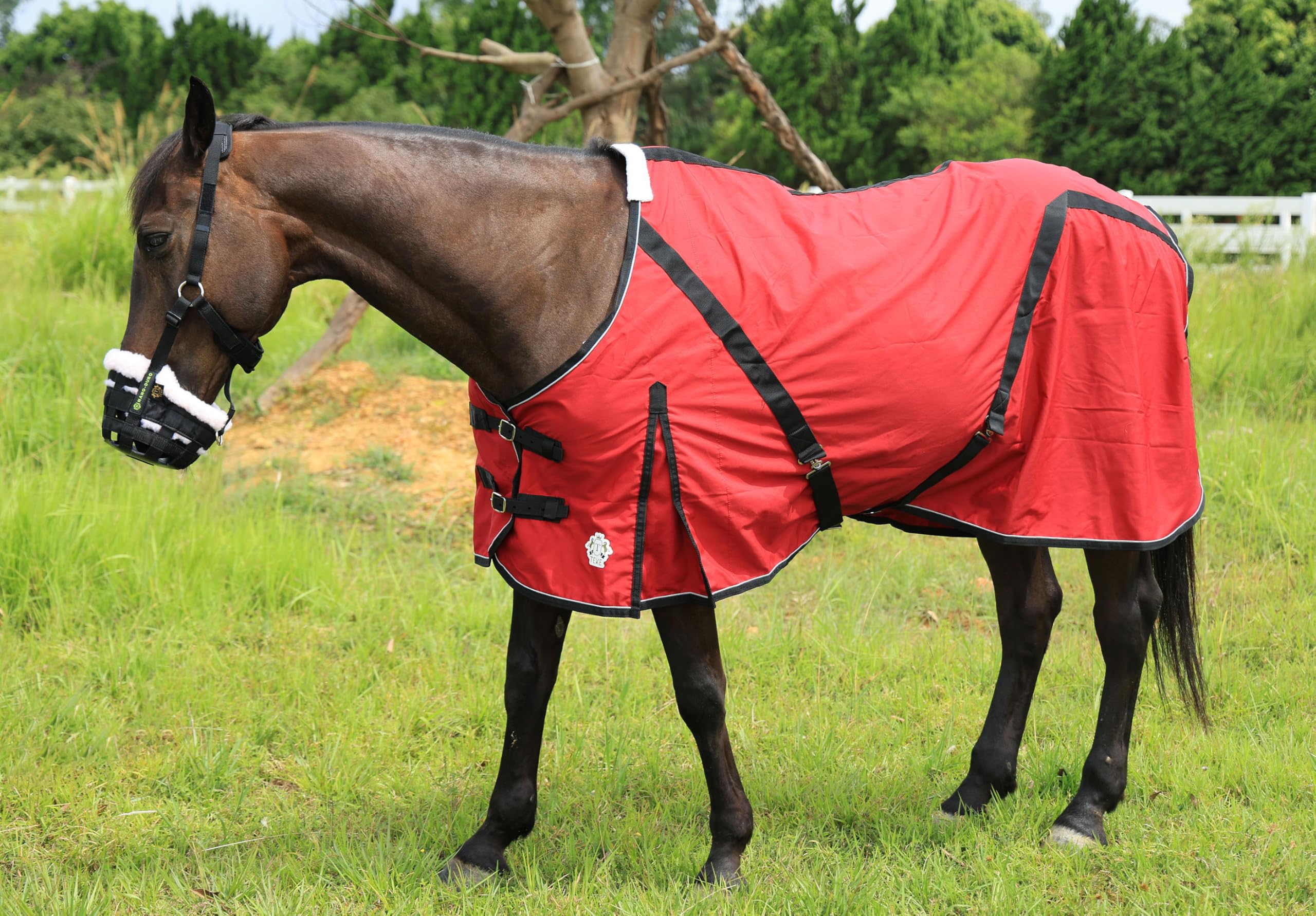 T TEKE Deluxe Horse Canvas Sheet cross-belly surcingles keep the layer in place.
