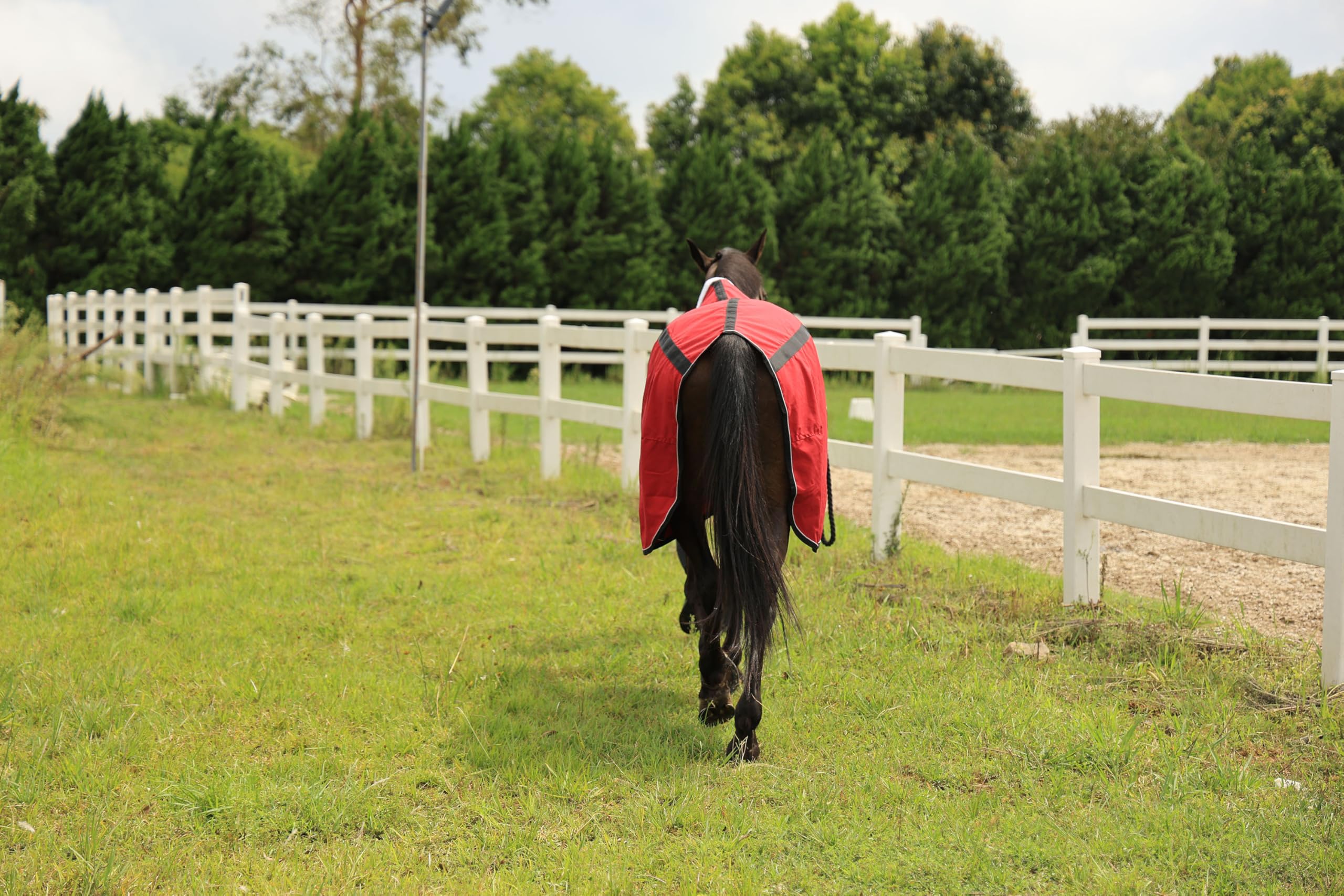T TEKE Deluxe Horse Canvas Sheet inside shoulder label helps quick ownership identification.