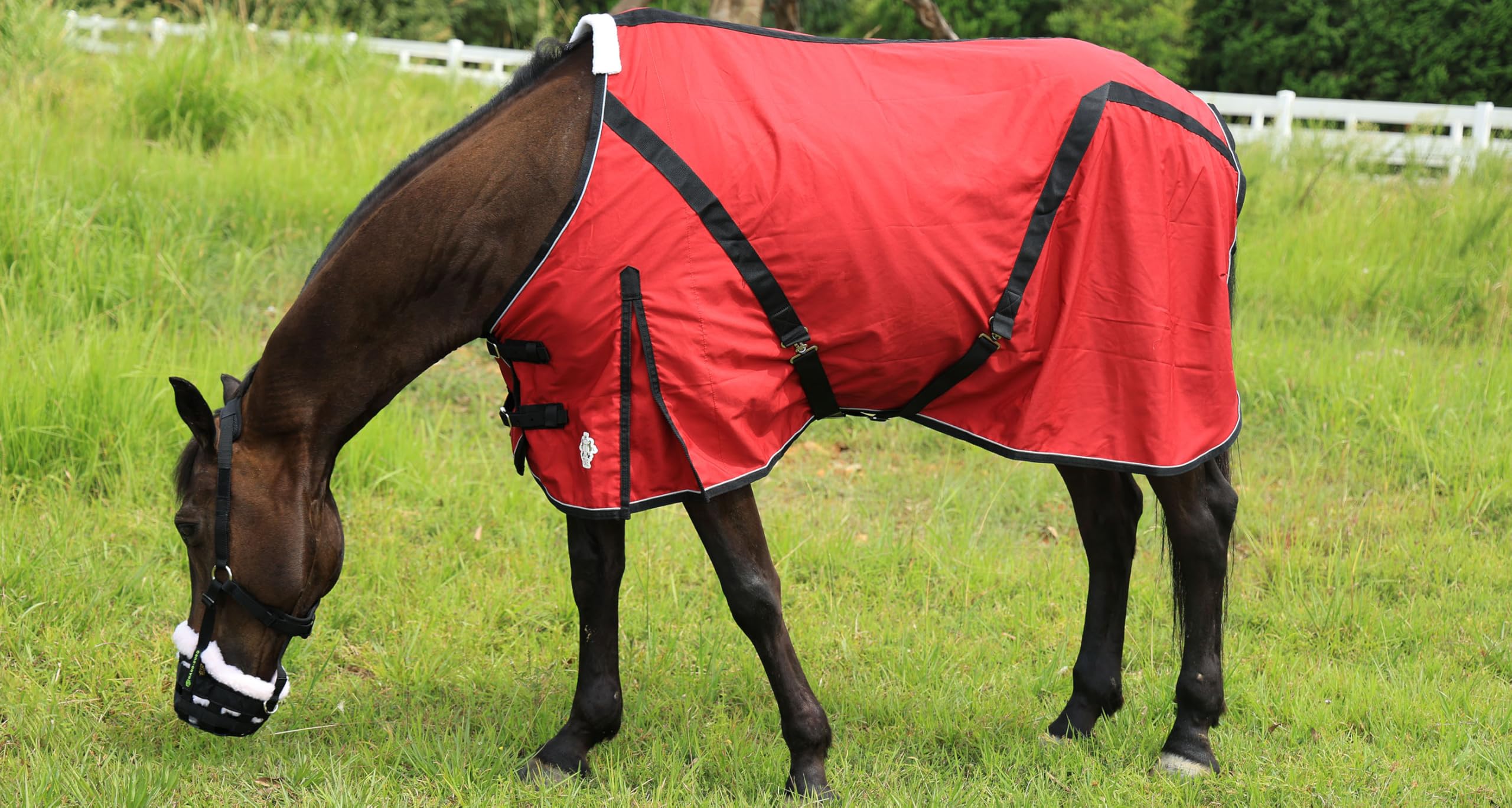 T TEKE Deluxe Horse Canvas Sheet removable leg straps enable easy adjustments.