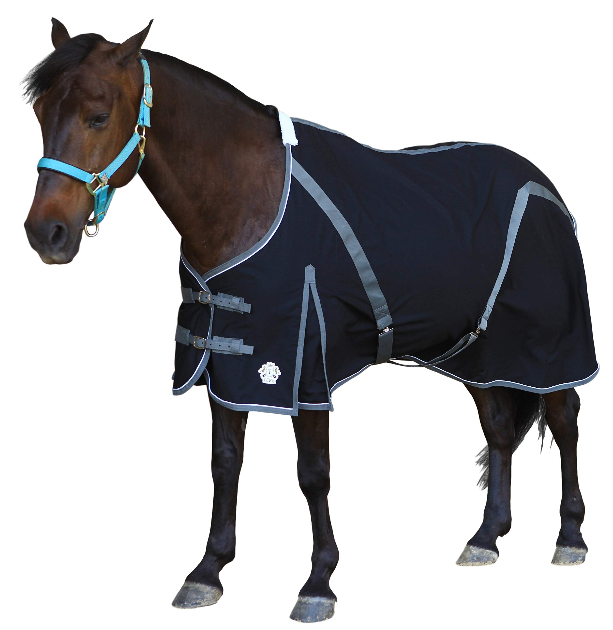 T TEKE Deluxe horse canvas sheet side view; easy-to-clean surface reduces brushing time