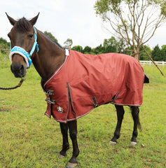 T TEKE Deluxe turnout blanket silky nylon lining for a smooth coat contact.
