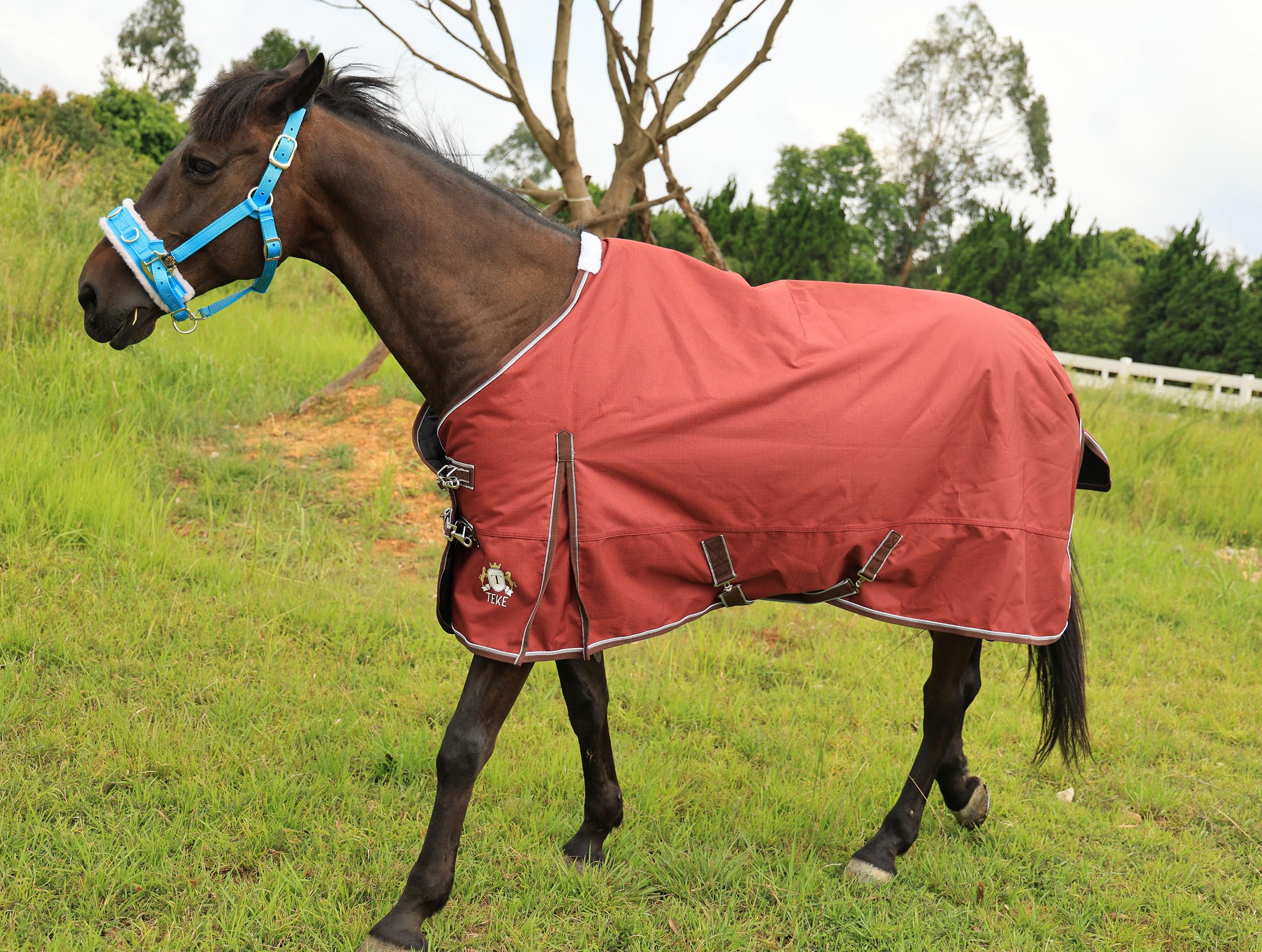 T TEKE Deluxe turnout blanket waterproof breathable outer shields horse from rain and wind.