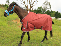 T TEKE Deluxe turnout blanket waterproof breathable outer shields horse from rain and wind.