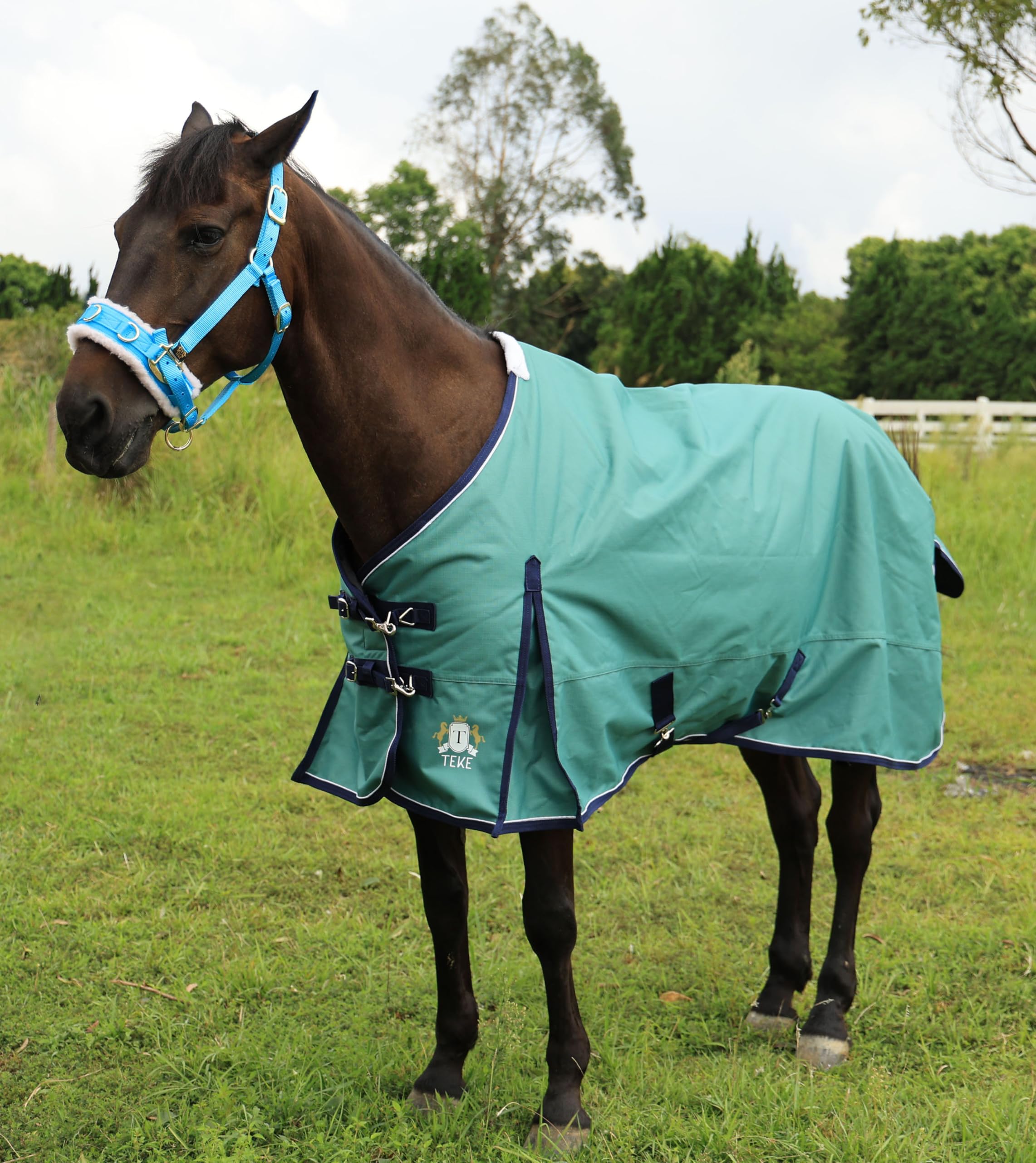 T TEKE Deluxe turnout sheet close-up reveals breathable waterproof membrane for dry coat
