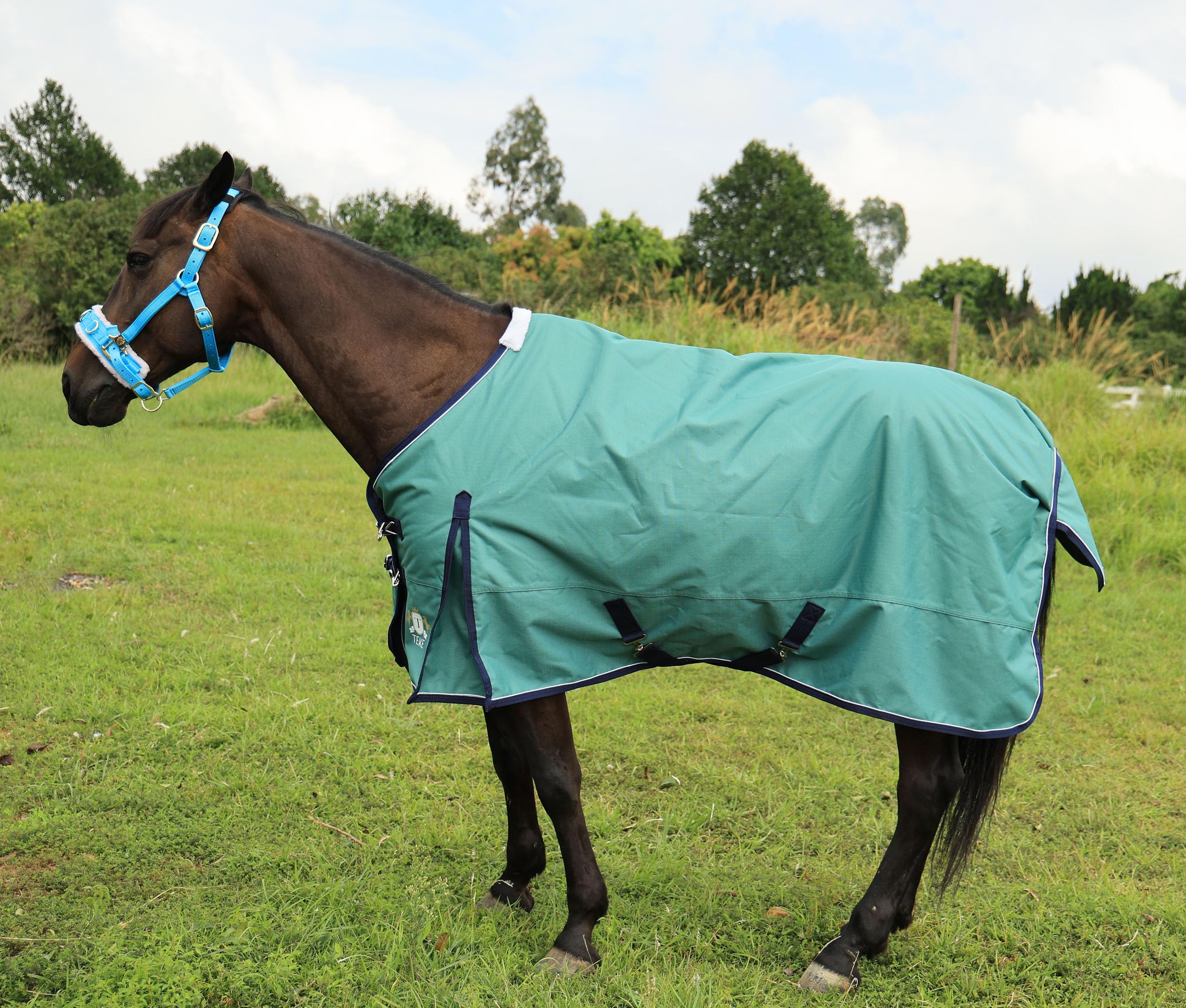 T TEKE Deluxe turnout sheet silky nylon lining for coat-friendly contact